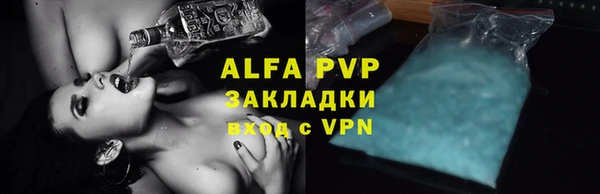 амф Верея