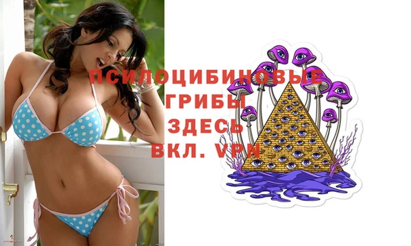 МДПВ Верхнеуральск