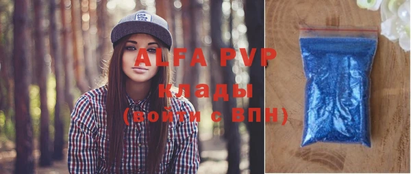амф Верея