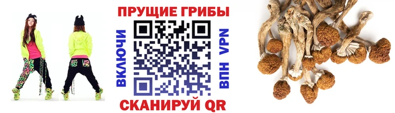 Псилоцибиновые грибы MAGIC MUSHROOMS  Чулым 